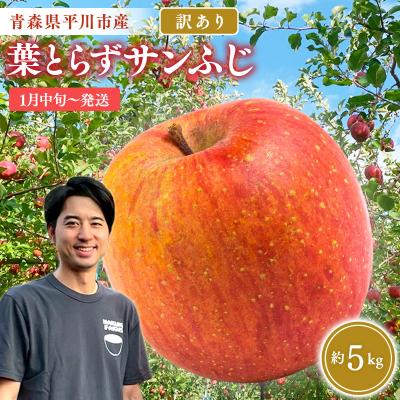 ふるさと納税 平川市 ≪2027年1月上旬頃より発送≫青森県産 訳あり 葉取らずサンふじ 約5kg