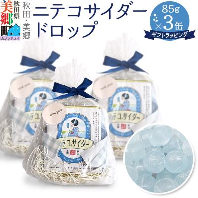 ふるさと納税 美郷町 ニテコサイダードロップ 85g×3缶 あきた美郷づくり|01_amd-17a301