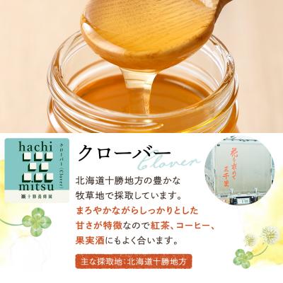 ふるさと納税 上士幌町 十勝養蜂園 国産 蜂蜜 クローバー 500g×2個 はちみつ ハチミツ 純粋 無添加 保存食の画像