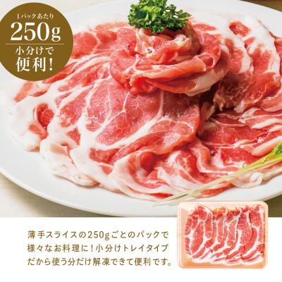 ふるさと納税 南さつま市 【鹿児島県産】 豚肩ロース しゃぶしゃぶ用 1.5kg カミチク 南さつま市 |  | 03
