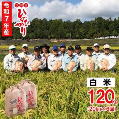 ふるさと納税 笠岡市 [令和7年産 先行受付]白米 ひのひかり 笠岡産 120kg 太陽の恵み O-07_120k_白米