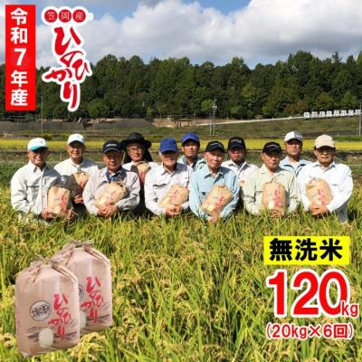 ふるさと納税 笠岡市 [令和7年産 先行受付]無洗米 ひのひかり笠岡産 120kg 太陽の恵み O-07_120k_無洗米