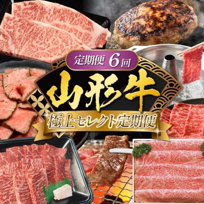 ふるさと納税 山形市 [定期便6回]山形牛 極上セレクト定期便 FY25-462