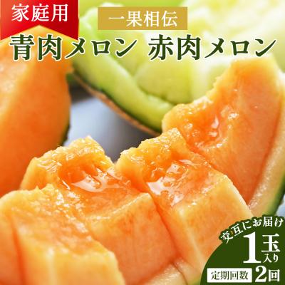 ふるさと納税 香南市 [2回定期便]一果相伝 青肉メロン 赤肉メロン 家庭用 1玉 交互にお届け Wtn-0047