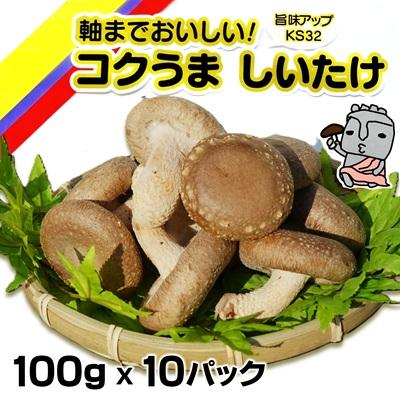 ふるさと納税 臼杵市 生椎茸 軸までおいしい!コクうましいたけ(100g×10パック)