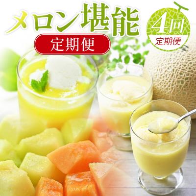 ふるさと納税 香南市 [4回定期便]メロン堪能定期便 Wtn-0054