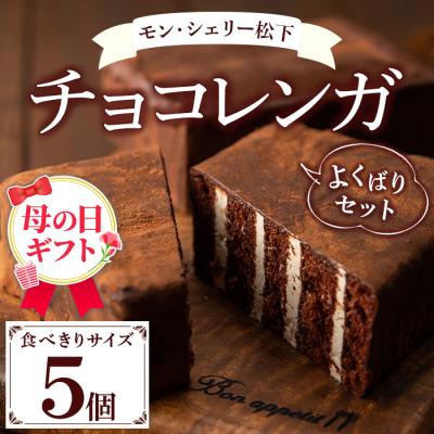 ふるさと納税 いちき串木野市 [令和8年 母の日]大人気!食べきりチョコレンガ セット!(ミニチョコレンガ 5個)