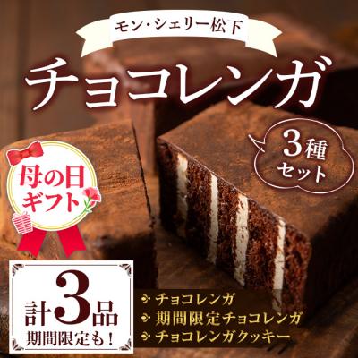 ふるさと納税 いちき串木野市 [令和8年 母の日]新食感のチョコレートケーキ チョコレンガセット