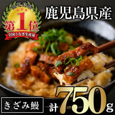 ふるさと納税 曽於市 無投薬!鹿児島県産きざみ鰻(計750g・50g×15P)