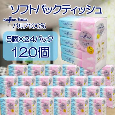ふるさと納税 名古屋市 ソフトパックティッシュ 5個パック(コンパクト)×24セット(120個)