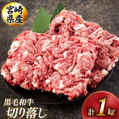 ふるさと納税 美郷町 黒毛和牛 切り落とし 500g×2 計1kg アグリ産業匠泰 宮崎県 美郷町 [31be0048]