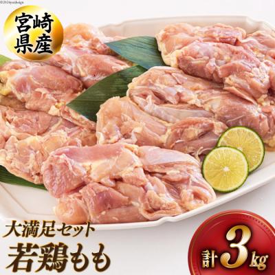 ふるさと納税 美郷町 宮崎県産若鶏もも1kg×3 合計3kg アグリ産業匠泰 宮崎県 美郷町 冷凍 [31be0046]