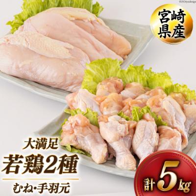 ふるさと納税 美郷町 若鶏 むね 手羽元 合計5kg 1kg包装 アグリ産業匠泰 宮崎県 美郷町 [31be0044]