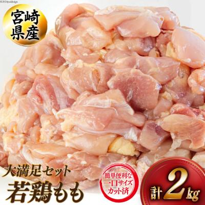 ふるさと納税 _美郷町 若鶏 もも 切り身 200g×10 合計2kg アグリ産業匠泰 宮崎県 美郷町 [31be0047]