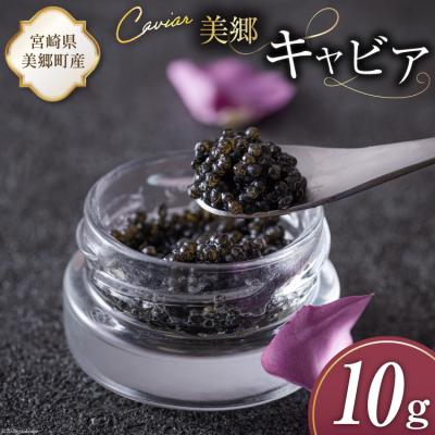 ふるさと納税 美郷町 美郷 キャビア チョウザメ 10g 宮崎キャビア 宮崎県 美郷町 きんかん [31az0010]