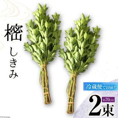 ふるさと納税 美郷町 しきみ しきび 2束 セット 70cm 中村しきみ園 宮崎県 美郷町 樒 [31ay0004]