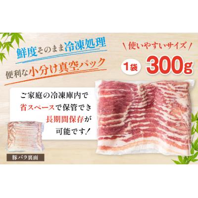 ふるさと納税 美郷町 豚バラ スライス 宮崎県産 300g×5p 1.5kg [31as0113] |  | 01