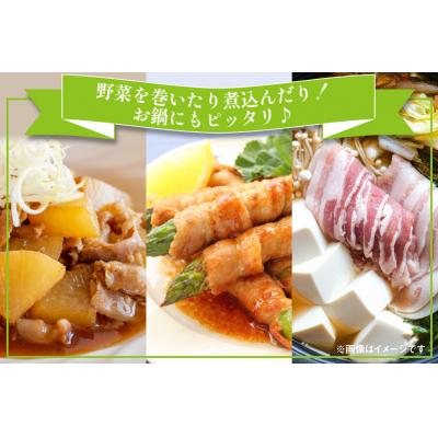 ふるさと納税 美郷町 豚バラ スライス 宮崎県産 300g×5p 1.5kg [31as0113] |  | 03