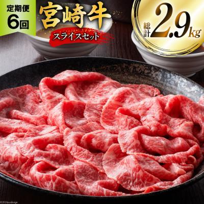 ふるさと納税 美郷町 牛肉 定期便 宮崎牛スライスセット 6ヶ月定期便 ミヤチク 宮崎県 美郷町 [31au0107]
