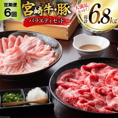 ふるさと納税 美郷町 肉 定期便 6ヶ月 宮崎牛・豚 バラエティセット ミヤチク 宮崎県 美郷町 [31au0109]