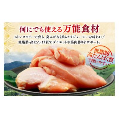 ふるさと納税 美郷町 鶏肉 定期便 むね肉 若鶏 鶏むね肉 6kg 3回 総計18kg [31bp0020]_1