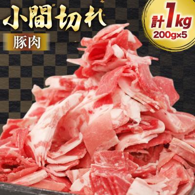 ふるさと納税 美郷町 豚肉 宮崎県産 豚 小間切れ 200g 5P 計1kg マルミヤストア 宮崎県 [31ag0144]