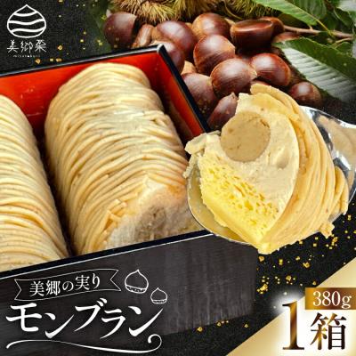 ふるさと納税 美郷町 モンブラン ケーキ 美郷の実り 1箱 380g 恵那川上屋 宮崎県 美郷町 [31bq0001]