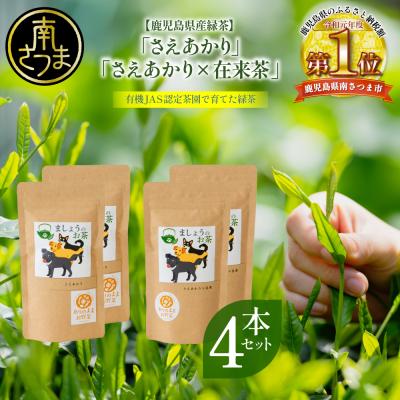 ふるさと納税 南さつま市 [鹿児島県産緑茶]ましょうのお茶「さえあかり」「さえあかり×在来茶」4本セット 計200g