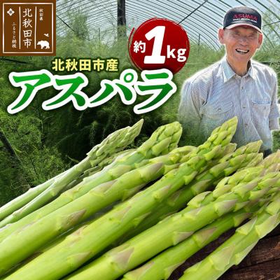 ふるさと納税 北秋田市 野菜 北秋田市産 アスパラ 約1kg M〜Lのサイズミックス|tndn-010101