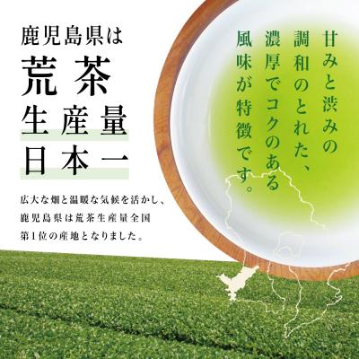 ふるさと納税 南さつま市 【鹿児島県産緑茶】かごしまのお茶 かせだみどり(80g×2袋) 茶葉 2本セット 贈答 ギフト |  | 01