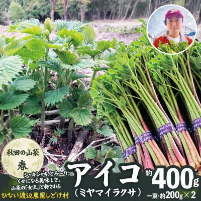 ふるさと納税 大館市 アイコ(ミヤマイラクサ) 約400g 秋田の山菜