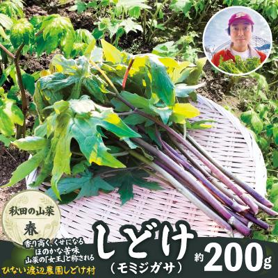 ふるさと納税 大館市 しどけ(モミジガサ) 約200g 瑞々しい山菜の女王