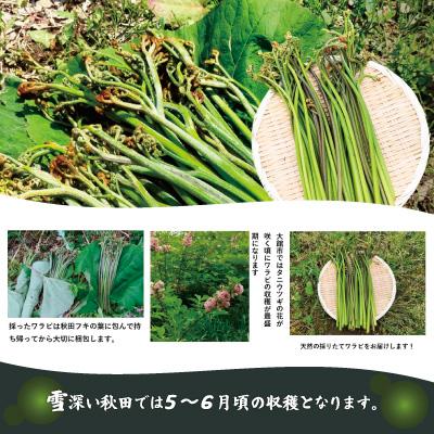 ふるさと納税 大館市 ワラビ 約1000g トロっトロの食感が堪らない!の画像