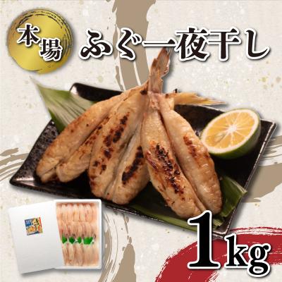 ふるさと納税 下関市 ふぐ 一夜干し 1kg 冷凍 KA3017-x