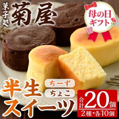 ふるさと納税 いちき串木野市 [令和8年 母の日]ふわっふわのスフレタイプのプチケーキ!半生チーズ・半生ちょこ詰合せ