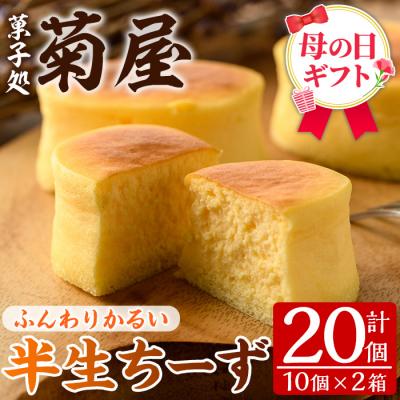 ふるさと納税 いちき串木野市 [令和8年 母の日]ふわっふわのスフレタイプのチーズケーキ♪半生ちーず20個 小分けなので便利♪