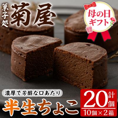 ふるさと納税 いちき串木野市 [令和8年 母の日]ふんわりかるーいチョコレートケーキ♪ 半生ちょこ20個 小分けなので便利♪