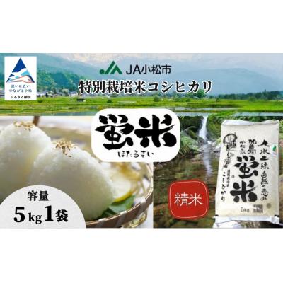 ふるさと納税 小松市 [令和7年産] コシヒカリ 精米 蛍米 5kg 石川県 小松市 JA小松市