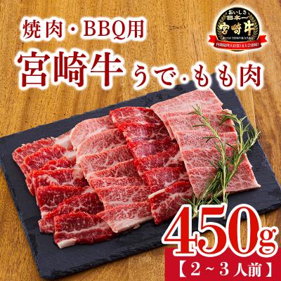 ふるさと納税 高原町 宮崎牛うで&amp;もも肉セット450g(焼肉・BBQ用)