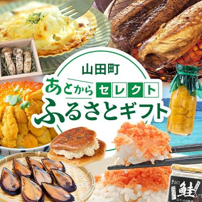 ふるさと納税 山田町 三陸山田 あとからセレクト[ふるさとギフト]寄附5,000円相当