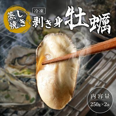 ふるさと納税 山田町 三陸山田 かき小屋 の蒸し焼き剥き身 牡蠣 250g×2袋 カキ