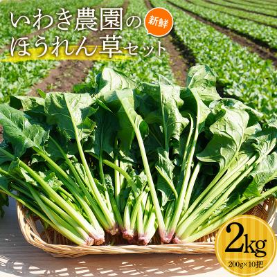 ふるさと納税 山田町 三陸山田産 新鮮 ほうれん草 セット 2kg ホウレンソウ 野菜