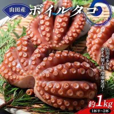 ふるさと納税 山田町 三陸山田産 ボイル タコ 1kg たこ たこ焼き 刺身
