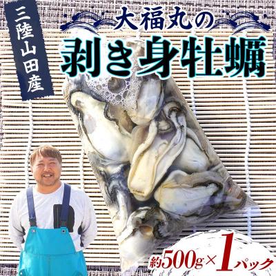 ふるさと納税 山田町 三陸山田産 剥き身 牡蠣 約500g×1パック カキ