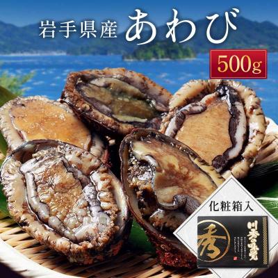 ふるさと納税 山田町 三陸山田 冷凍 鮑 500g あわび