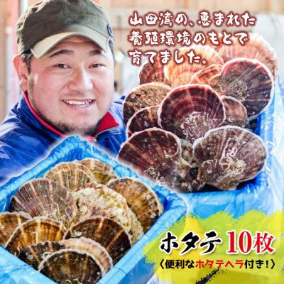 ふるさと納税 山田町 三陸山田産 ホタテ (大)10枚セット ほたて 帆立