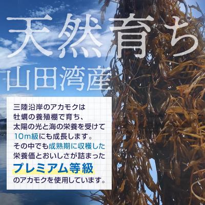 ふるさと納税 山田町 三陸山田産 天然 山田プレミアム アカモク 冷凍 30g×3個 10セット あかもく きばさ |  | 01