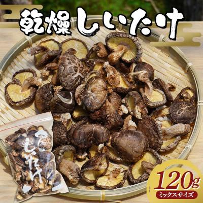 ふるさと納税 山田町 三陸山田産 乾燥 椎茸 120g(ミックスサイズ) しいたけ シイタケ