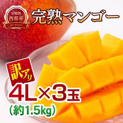 ふるさと納税 西都市 訳あり完熟マンゴー 大玉4L×3玉 糖度12度以上[先行受付]宮崎完熟マンゴー[3104]