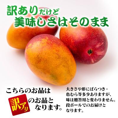 ふるさと納税 西都市 訳あり完熟マンゴー 大玉4L×3玉 糖度12度以上